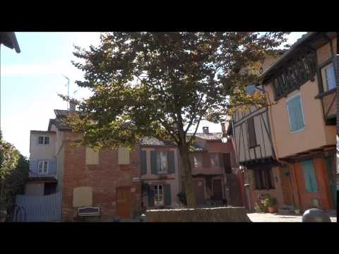 Romain Gary - la promesse de l'aube -  l'humour des pingouins