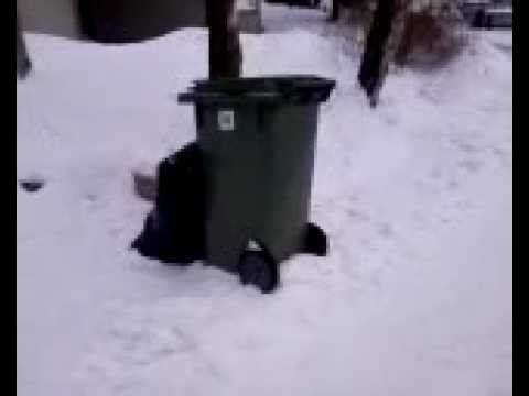 Snöskottning behövs inte...