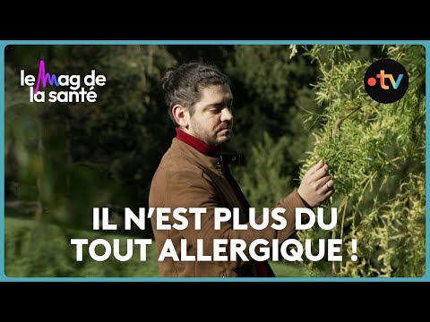 Pollen allergies: how does desensitization work?