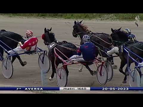 Aversa trotto 20 Maggio 2023 - 7° Corsa