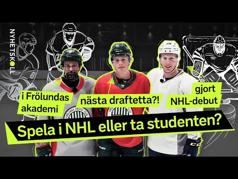Så blev vi hockeyproffs: Bröderna Stenberg