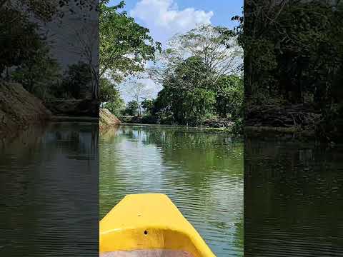 ¿Quién se animaría a hacer este recorrido en bote,desde María La Baja hasta Cartagena?