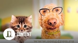 Как сделать бессмертного игрока в сталкере 198 Как сделать бессмертного игрока в сталкере 375