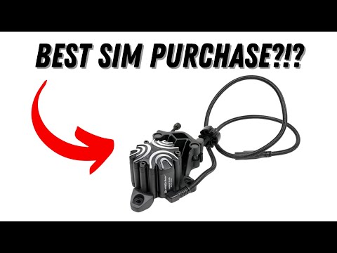 The Best Thing a Sim Racer Can Buy?