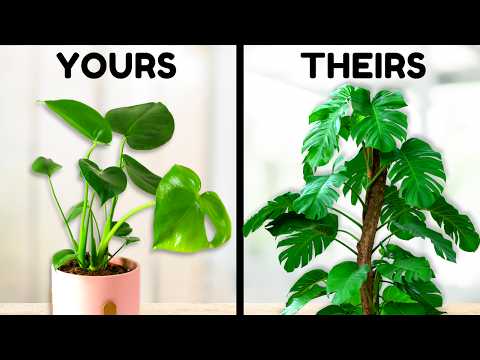 10 Things Plant Experts Do That You Probably Don't