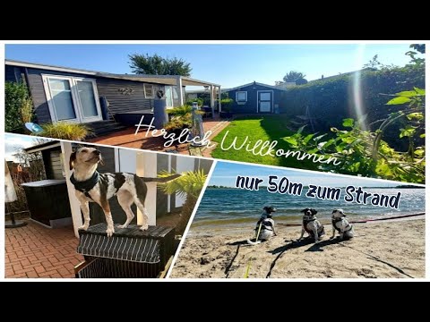 Was ist neu in 2023? Chalet Lighthouse, 50m zum Strand, Erholung pur für Mensch & Hund am Rhederlaag