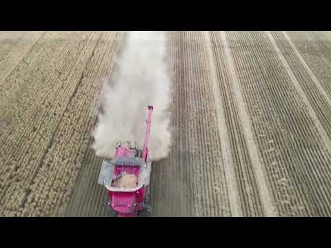澳洲麥農喜獲豐收 (Australian wheat farmers harvest a bumper crop)
