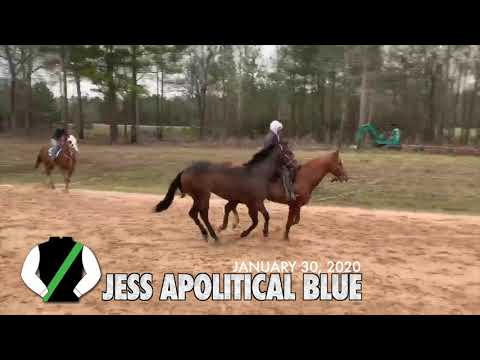 Sovereign Racing Updates: January 30, 2020- Jess Apolitical Blue