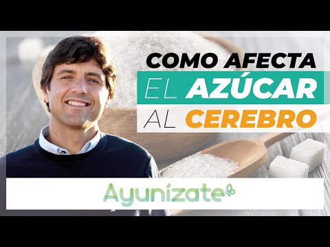 ¿Cómo afecta el azúcar al cerebro?