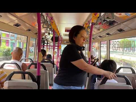 SBS Transit Scania K230UB Euro V Gemilang SBS5238A On Service 116