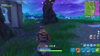 フォートナイト
