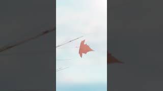 - 月詠み「秋うらら」