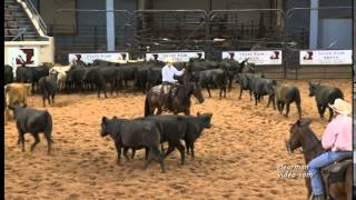 Chukas Dream Cat - Cathy Wunder