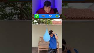 Qual animal estoura o balão 😳 IB: gabrielmiranda_ofc