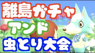 【あつ森】離島ガチャ&虫取り大会やってみた【まったり実況】