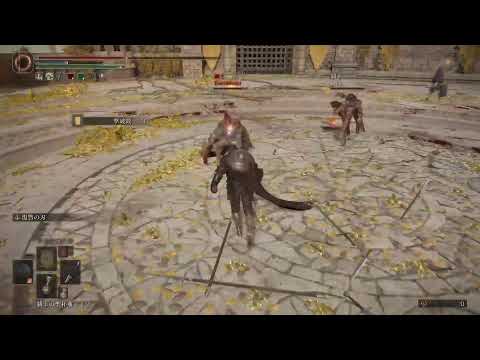 [エルデンリング]　多分攻略