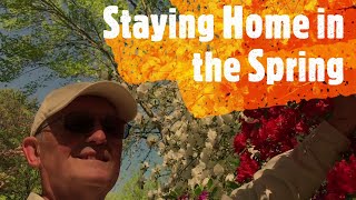 2020 Springtime at Home on Jurgen's Journeys