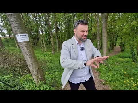 July 1, 1916. Extinction Day on the Somme - Part I