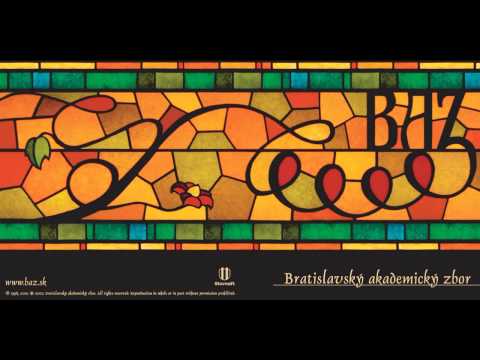 13 - Karl Mayrberger - Asperges Me