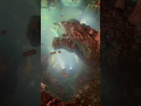 #VA #beach #cover #travel #music #america #comment #education #india #guitar #exam #virginia #4k