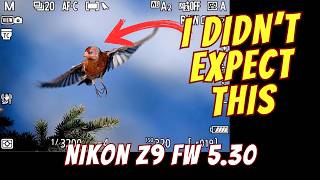 Did Nikon Improve Bird AF? Z9 Firmware 5.30 Test