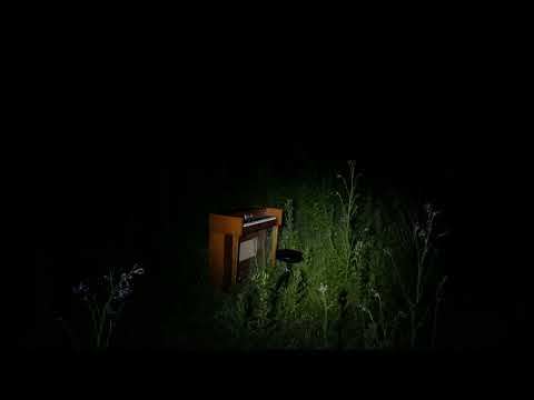 Bingo Fury - The Phone (Official Audio)