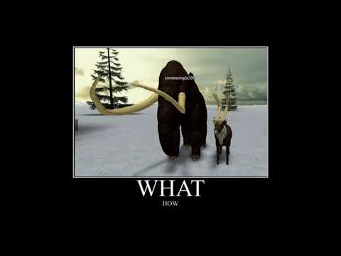 WHAT how ~ Cenozoic Survival meme
