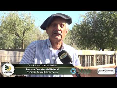 06-04-24 - Oscar Palos - Criador y Cabañero - Remate Destetes del Natural   General Acha, La Pampa