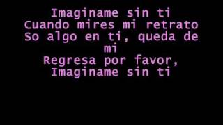 Luis Fonsi -Imaginame Sin Ti with lyrics