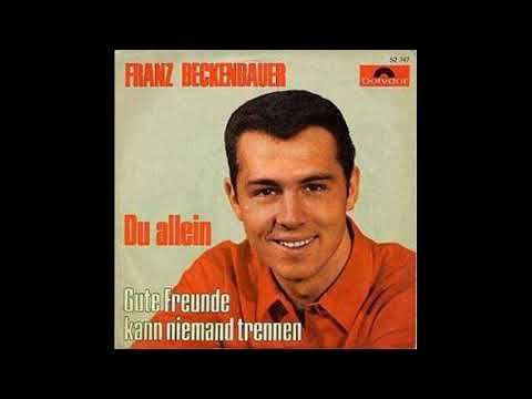 Gute Freunde Kann Niemand Trennen cover