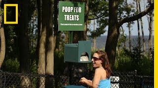 Crowd Control: Top 5 Poop Deposits