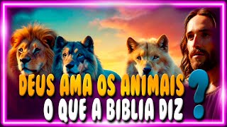 Deus Ama os Animais? Entenda  o que a Bíblia nos Ensina sobre o Cuidado com os Animais