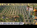 10 Acre FOOD FOREST Tour फलों का जंगल घूमिये Bhoomi Natural Farms Be