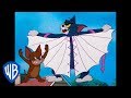Tom & Jerry | Tom the Cat or Tom the Bird | WB Kids