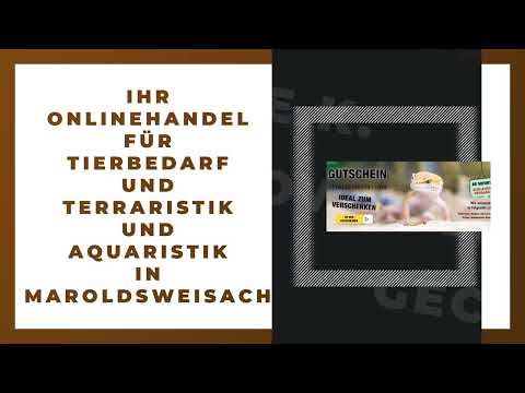 Gecko World e.K. YouTube-Vdeominiatur 7