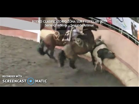 Frutillar 2017: Criadero Peleco con Gustavo Valdebenito y Cristóbal Cortina en Compadre y Estupendo