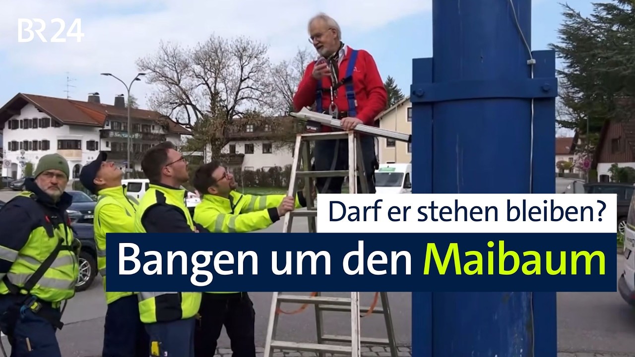 Holzbauexperte prüft Maibäume auf Standfestigkeit | Abendschau | BR24