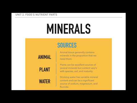 BIOL - 200 - 8 - Minerals