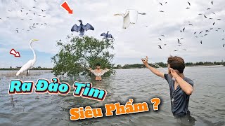 Dắc Sáu Ét Ra Đảo kiếm Hàng Khủng Về Làm Chúc Đế ! | Tiến Đạt SlingShot
