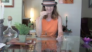 Pendulum: Communicating With the Other Side