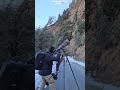 Himalayan Monal Chopta Top Nature Trending Birds Mansoon Viralvideo Birding Shortvideo