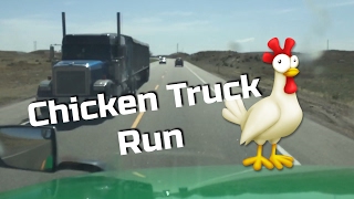 Chicken Truck Run VLOG
