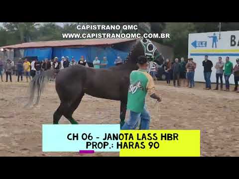 II GP BAHIA FUTURITY - APRESENTAÇÃO