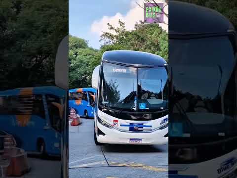 Danubio Azul 25022 | São Paulo x Tambaú