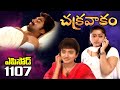 Episode 1107 Chakravakam Telugu Daily Serial Manjula Naidu Loud Speaker
