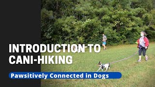 Introduction to Cani-Hiking
