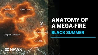 Inside the Gosper&#39;s Mountain mega-fire - the biggest bushfire Australia&#39;s ever seen | ABC News