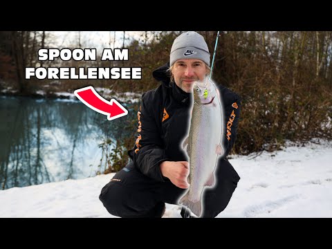 Forellenangeln mit Spoon | Alles was du wissen musst | Tipps & Tricks für den Fang am Forellenteich