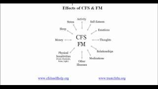 Understanding CFS & FM