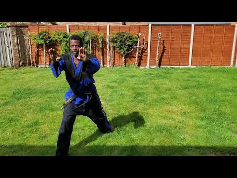 HED TKD: Eui Am Tul - 2nd Dan Black belts patterns